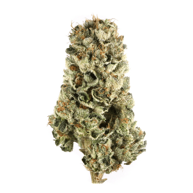 strain-sour-star-head-logo-image