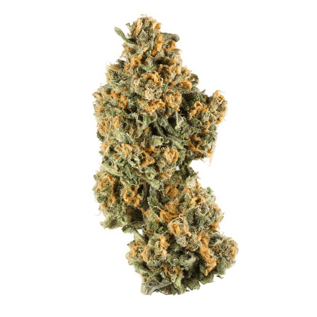 strain-mossimo-og-logo-image