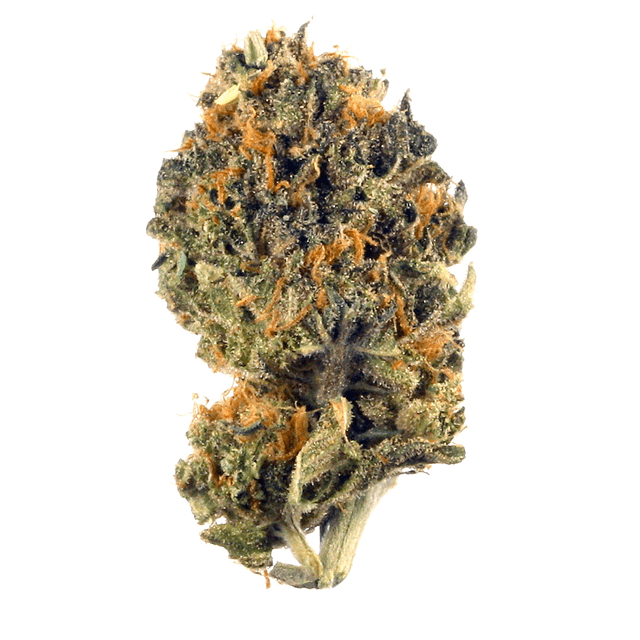 strain-blackberry-diesel-logo-image