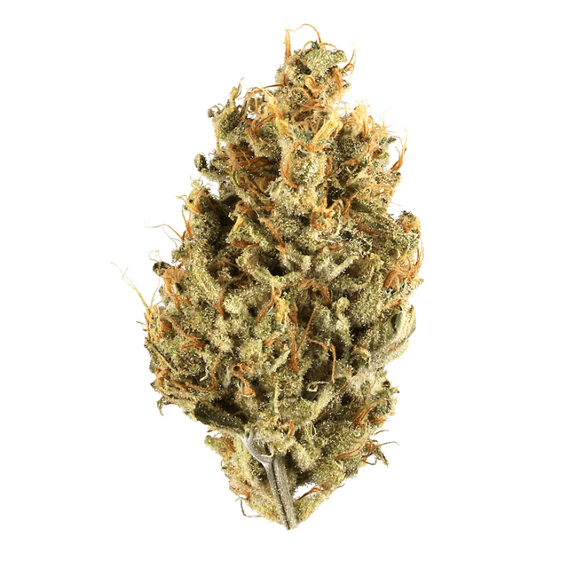 strain-special-kush-1-logo-image