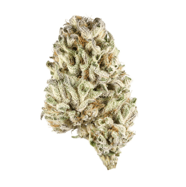 strain-boggle-gum-logo-image