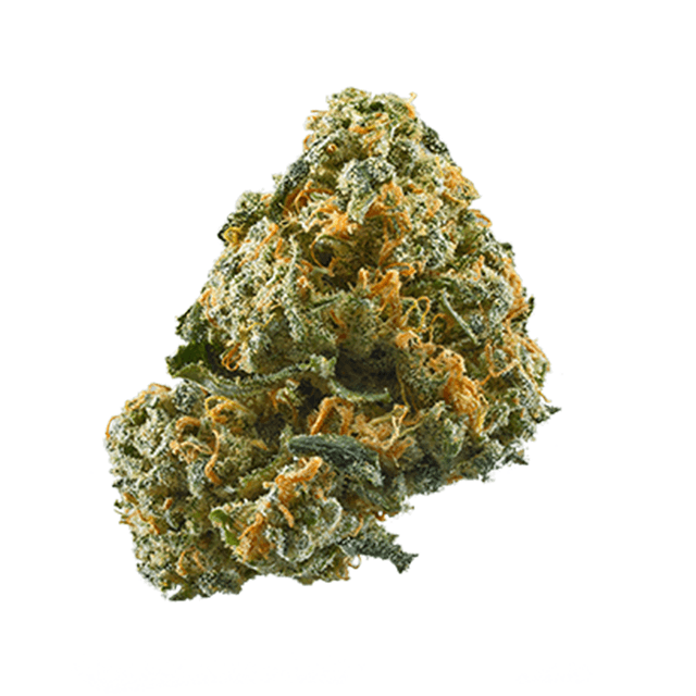 strain-sapphire-cherries-logo-image