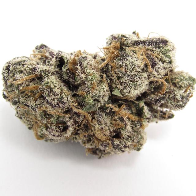 strain-coochie-runtz-logo-image