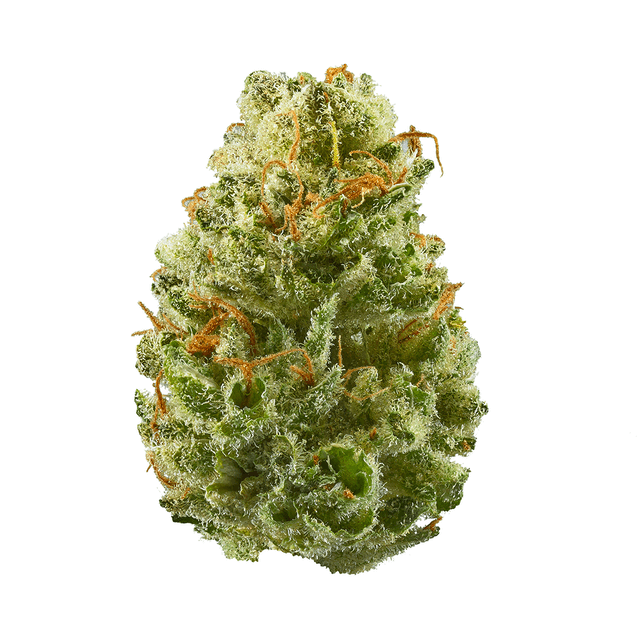 strain-strawberry-cough-logo-image