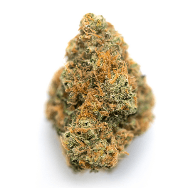 strain-russian-assassin-logo-image
