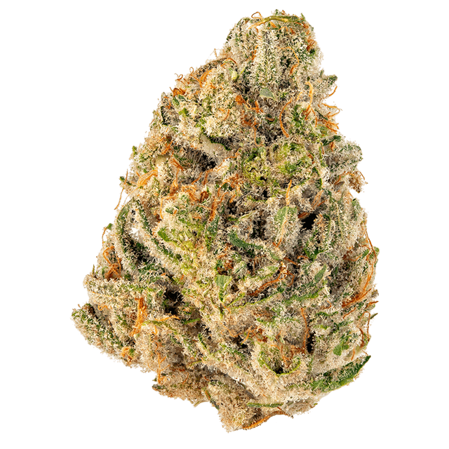 strain-qush-logo-image