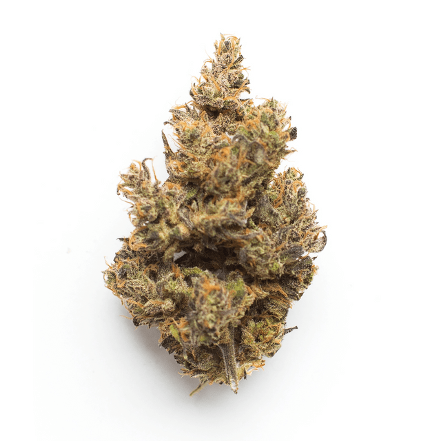 strain-palm-tree-cbd-logo-image