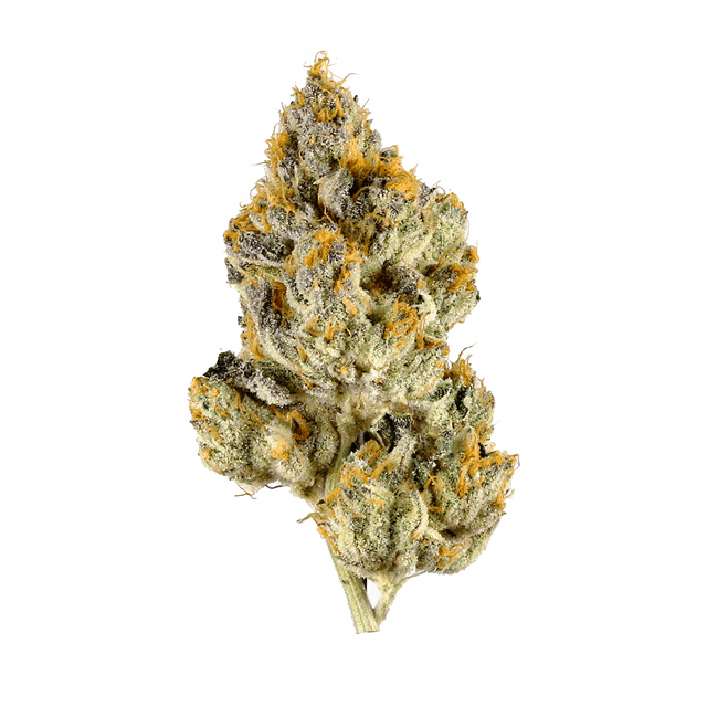 strain-tj-s-cbd-logo-image