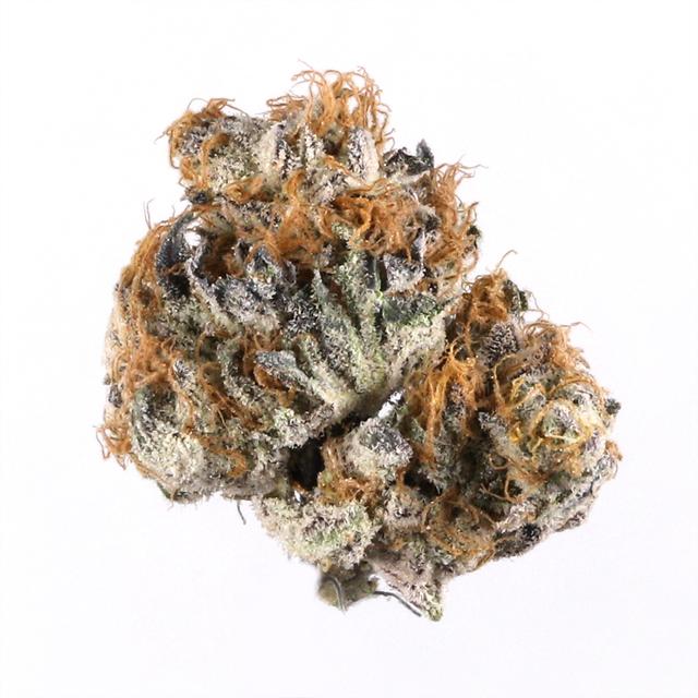 strain-blueberry-logo-image
