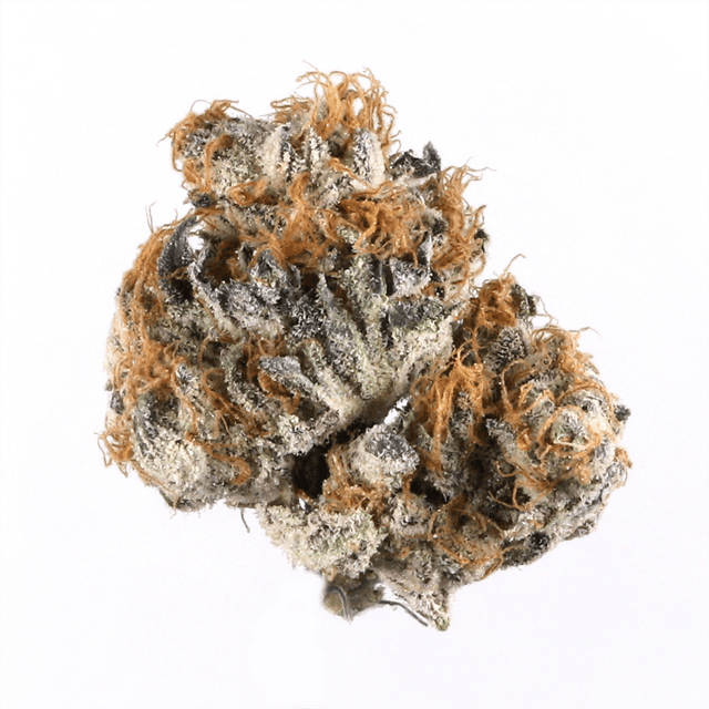 strain-purple-maui-logo-image