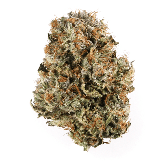 strain-dream-girl-logo-image