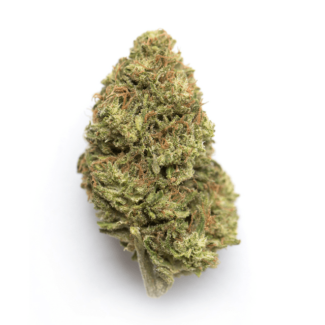 strain-brain-stew-logo-image