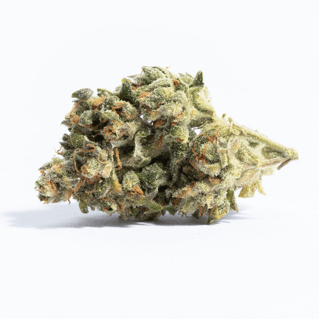 strain-mango-sherbert-logo-image