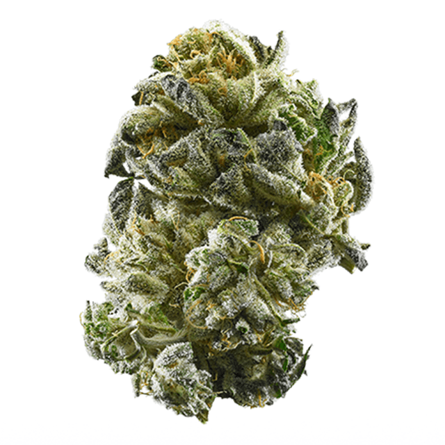 strain-diamond-punch-logo-image