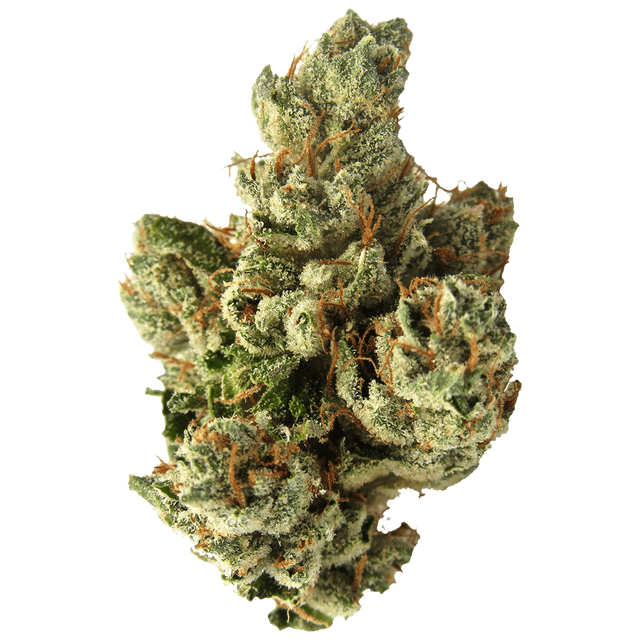 strain-sfv-og-kush-logo-image