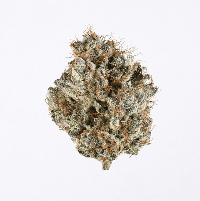 strain-ultimate-trainwreck-logo-image
