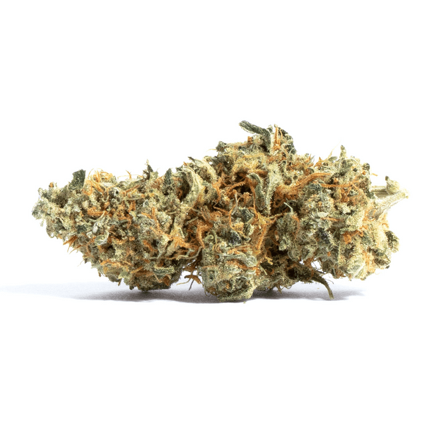 strain-east-coast-alien-logo-image