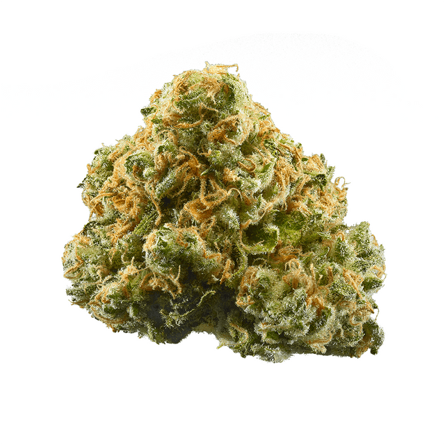 strain-elphinstone-logo-image