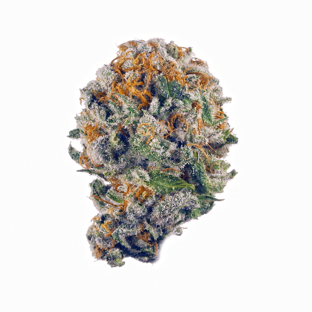strain-the-stilton-logo-image