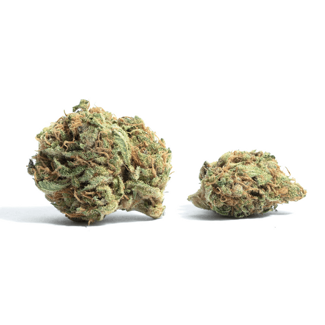 strain-frosted-zinn-logo-image