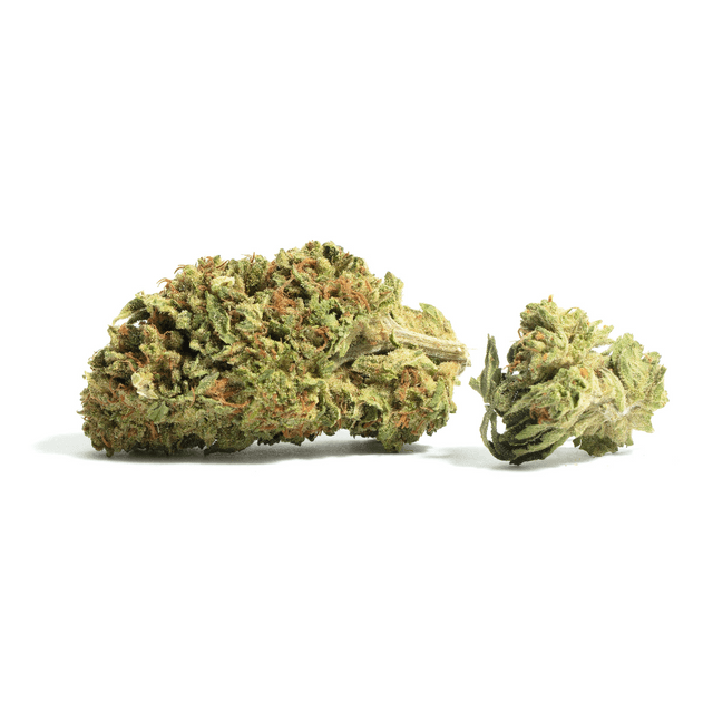 strain-tillamook-strawberry-logo-image
