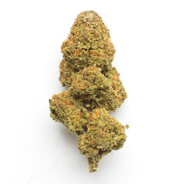 strain-3d-logo-image