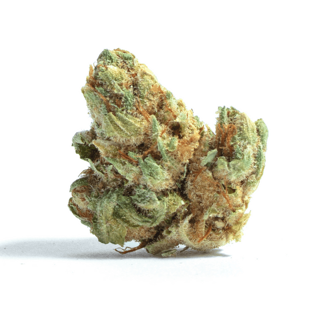 strain-3rd-coast-panama-chunk-logo-image
