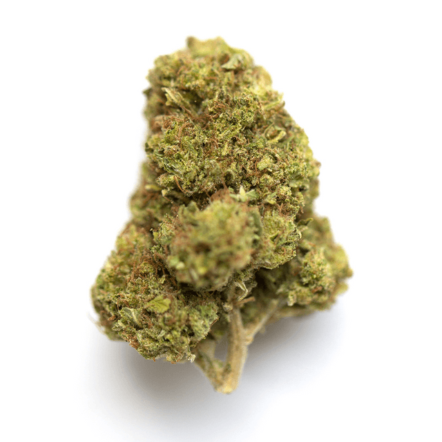 strain-buffalo-bill-logo-image