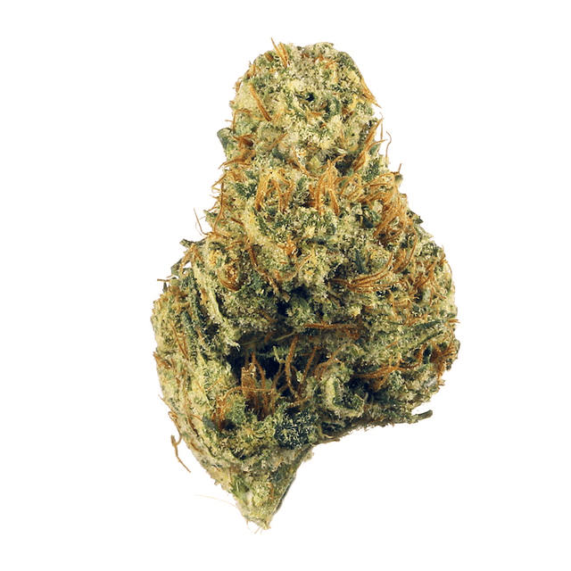 strain-ice-princess-logo-image