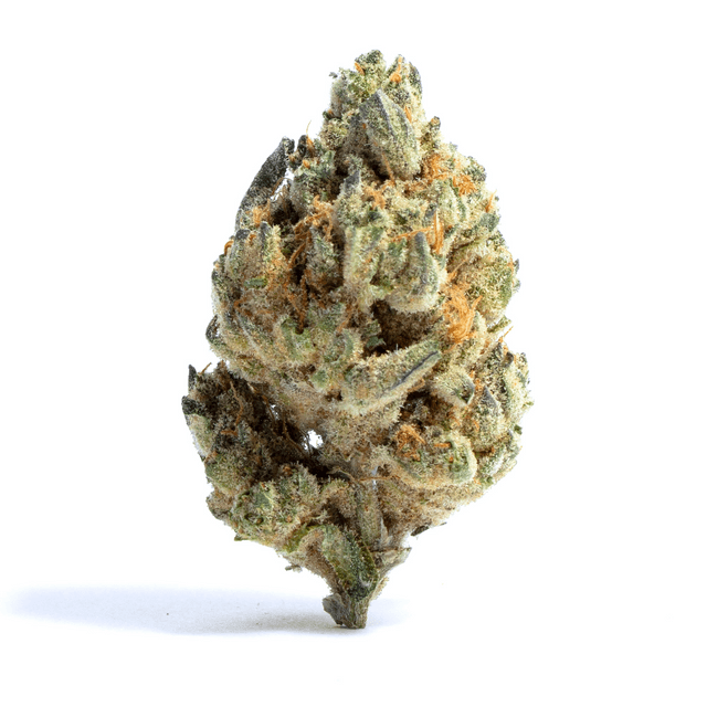 strain-medihaze-logo-image
