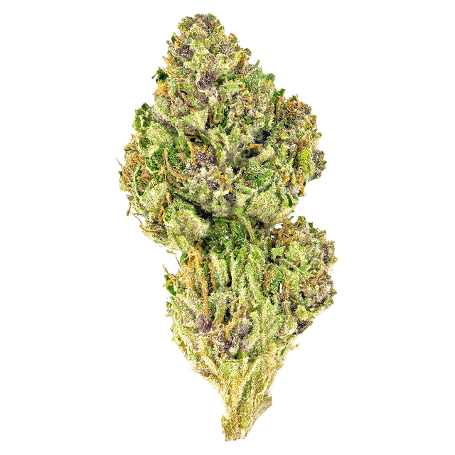 strain-pink-kush-logo-image