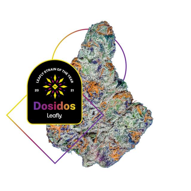 strain-dosidos-logo-image