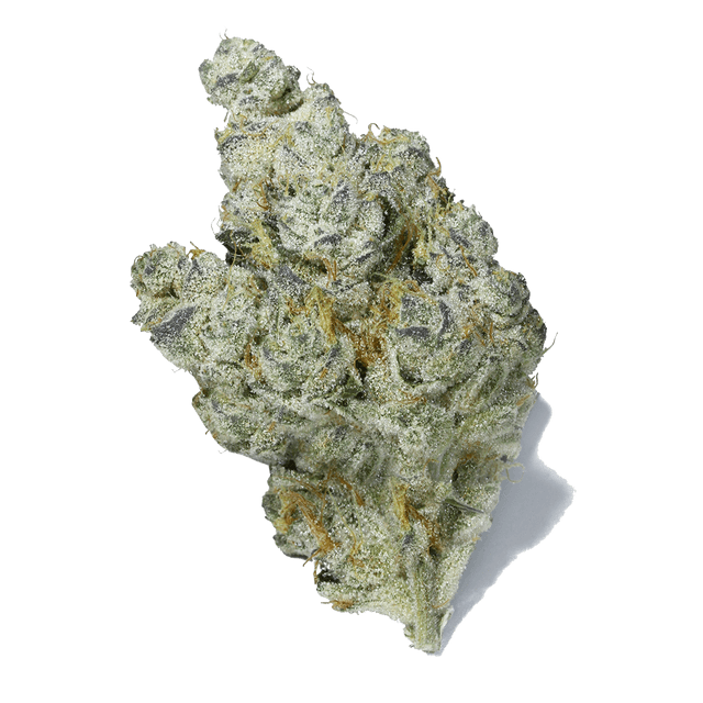 strain-brownie-scout-logo-image