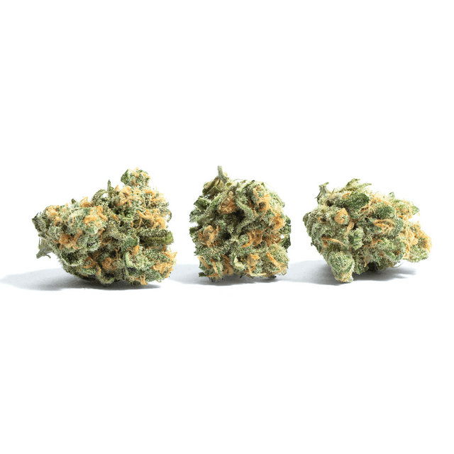 strain-honey-bunny-logo-image