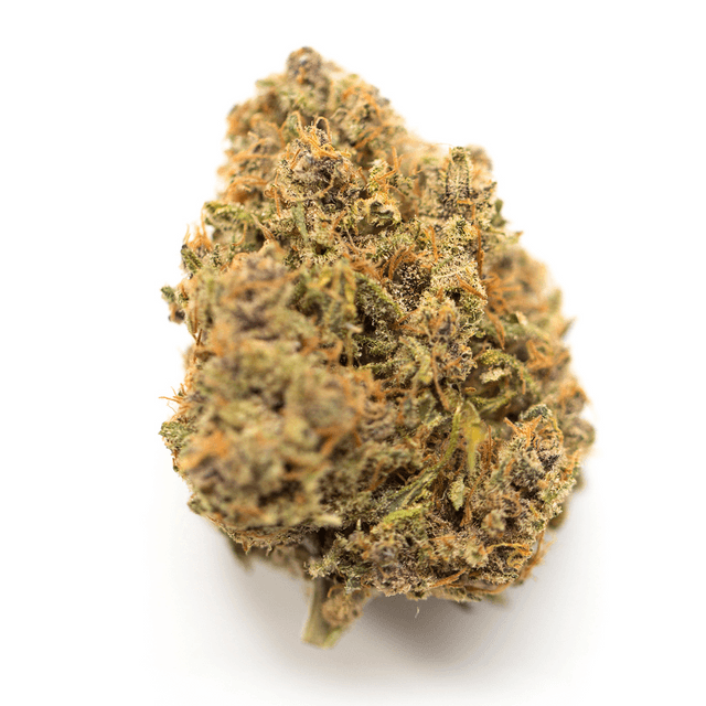 strain-pagoda-logo-image